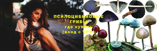 ешки Алексеевка