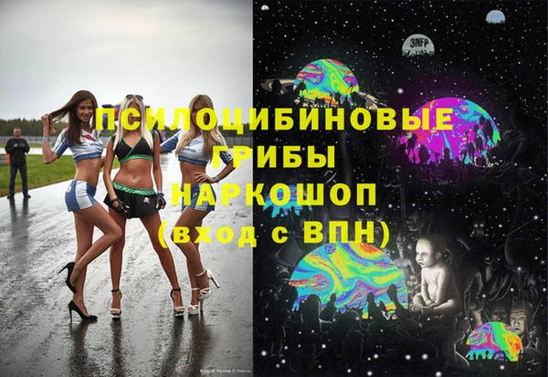 ешки Алексеевка