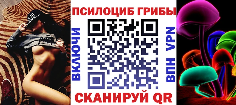 Галлюциногенные грибы Psilocybe Узловая